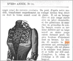 Mets/Alto information for article search