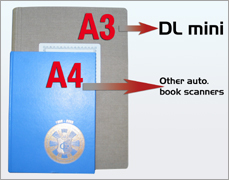 DL-mini managed page format